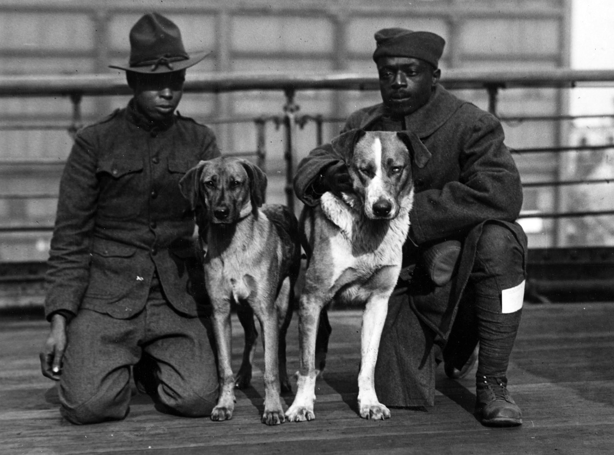 24 wwi dogs getty 177617255