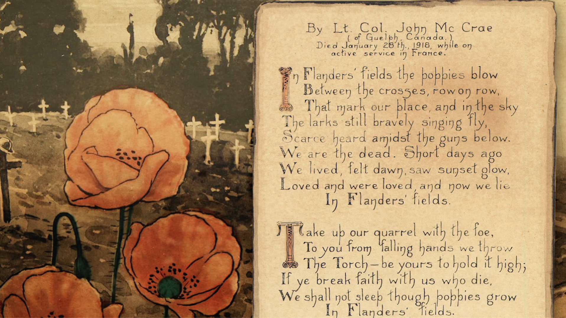 In Flanders Fields, WWI Poem by McCrae, Text, Red Poppy as Symbol