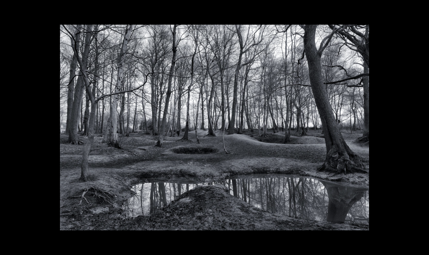 Wooded area near Ypres in Belgium